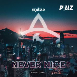 Never Nice (Original Mix)