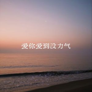 你从来没在乎我的疼