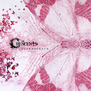 Chasse Aux Sorcieres