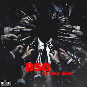 BSG