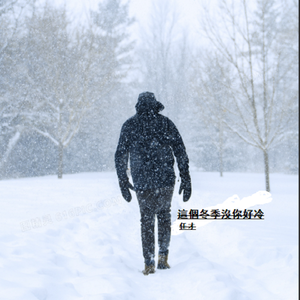 這個冬季沒你好冷