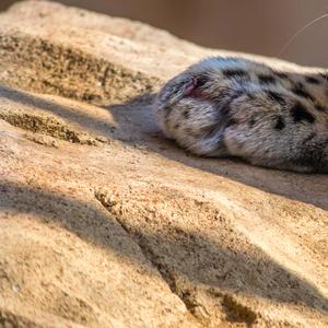 决别书的正确打开方式