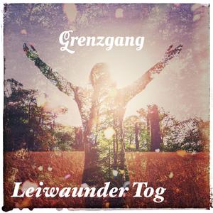 Leiwaunder Tog