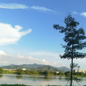 《固执的温柔》