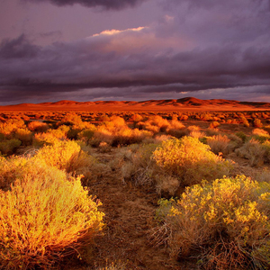 很喜欢席慕蓉的一段话