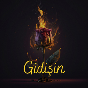 Gidişin