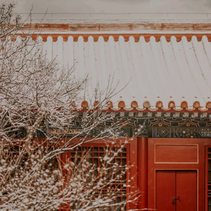 长生诀(cover西瓜JUN)