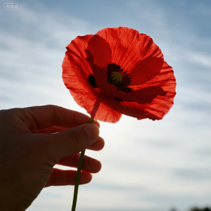 지금 이 순간（此时此刻）