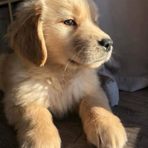 Take Me Thru Dere (slowed)