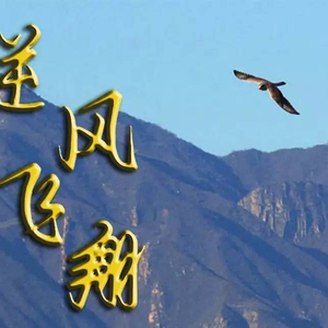 逆风飞翔