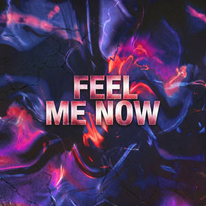 Feel Me Now