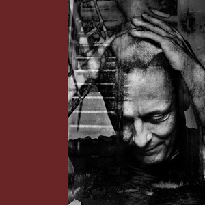 De Blinde Hunde Fra Savværket