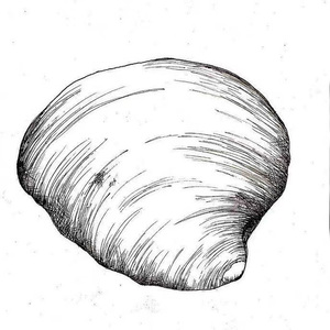 无法逃避prod by費奈爾蘭德