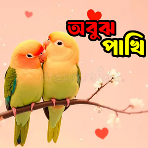 অবুঝ পাখি Obujh Pakhi