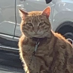 后会无期