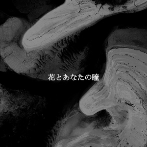 Smoky Studying Sounds