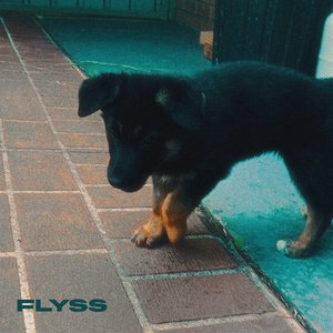 Porcelain (Tread Carefully)