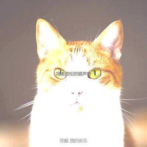 一尘不染周围环境印象数