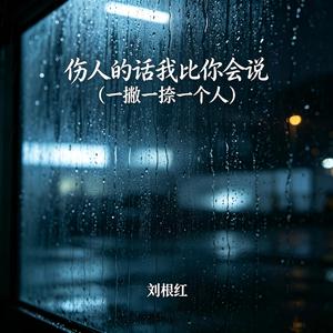 伤人的话我比你会说(一撇一捺一个人)