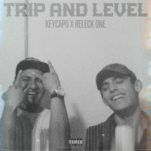 Trip And Level
