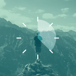 Mysteries Of The Forest