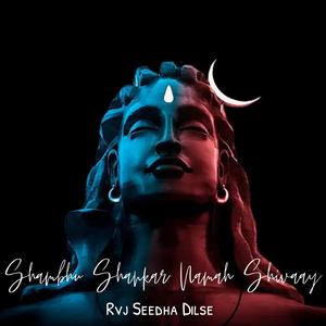 Shambhu Shankar Namah Shivaay (Trap )