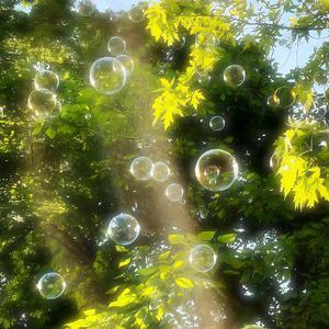 Lightning Moment (竖琴版)