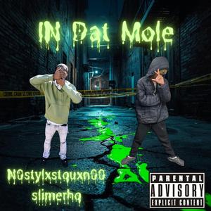 In Dat Mole (feat. slimerhq)