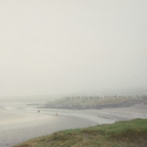 Cynicism Is The Stuff Laugh Riots Are Made Of