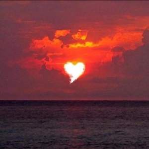 赛文的demo（翻自 赛文&GOD）