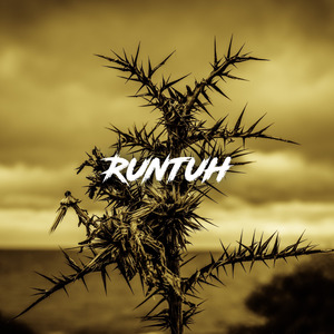 Runtuh (Remix)