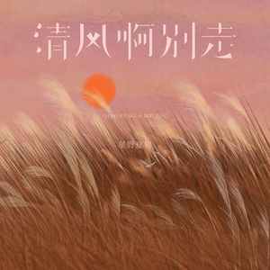 清风啊别走