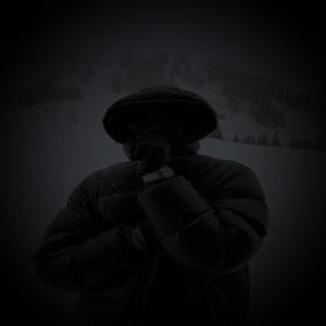 Tygryski Ale To Mocna Vixa