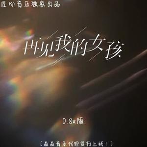 再见我的女孩(0.8xDJ版)