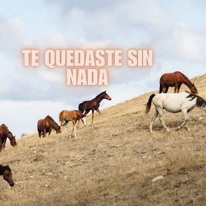 Te Quedaste Sin Nada