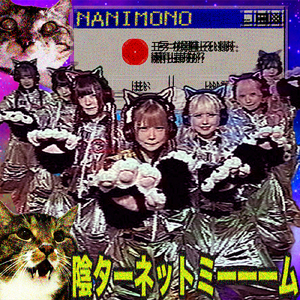 陰ターネットミーーーム