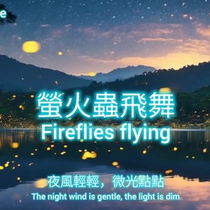 萤火虫飞舞