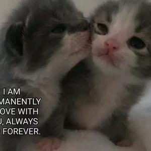 "思念" sad piano x 痛苦旋律伴奏