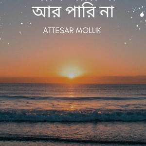 পারি না আর পারি না