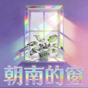 朝南的窗