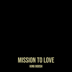 Mission to Love