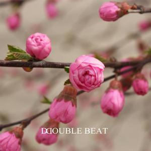 【Free Beat】“ 初 ”Prod.D BEAT