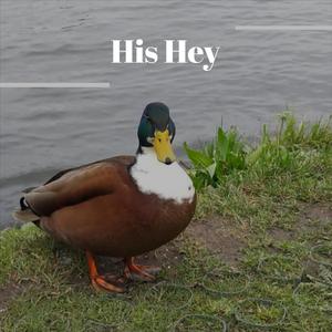 His Hey