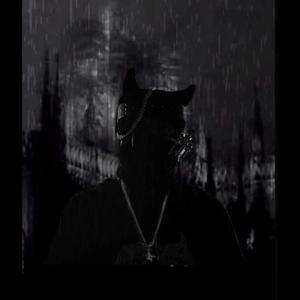 Steppin(SLWD)-808SERQUI