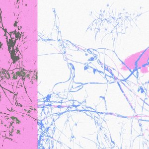 L'âvearse du meyn oëëa