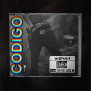 Codigo