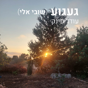 געגוע (שובי אלי)