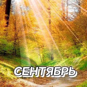 ПОХОЖА НА МЕЧТУ