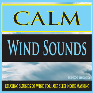 Wind Blowing Through Grass