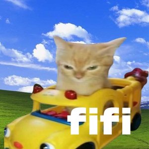fifi